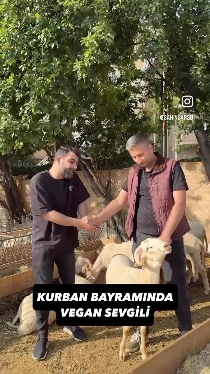 Müşteri memnuniyeti — kurbanlık teslimi